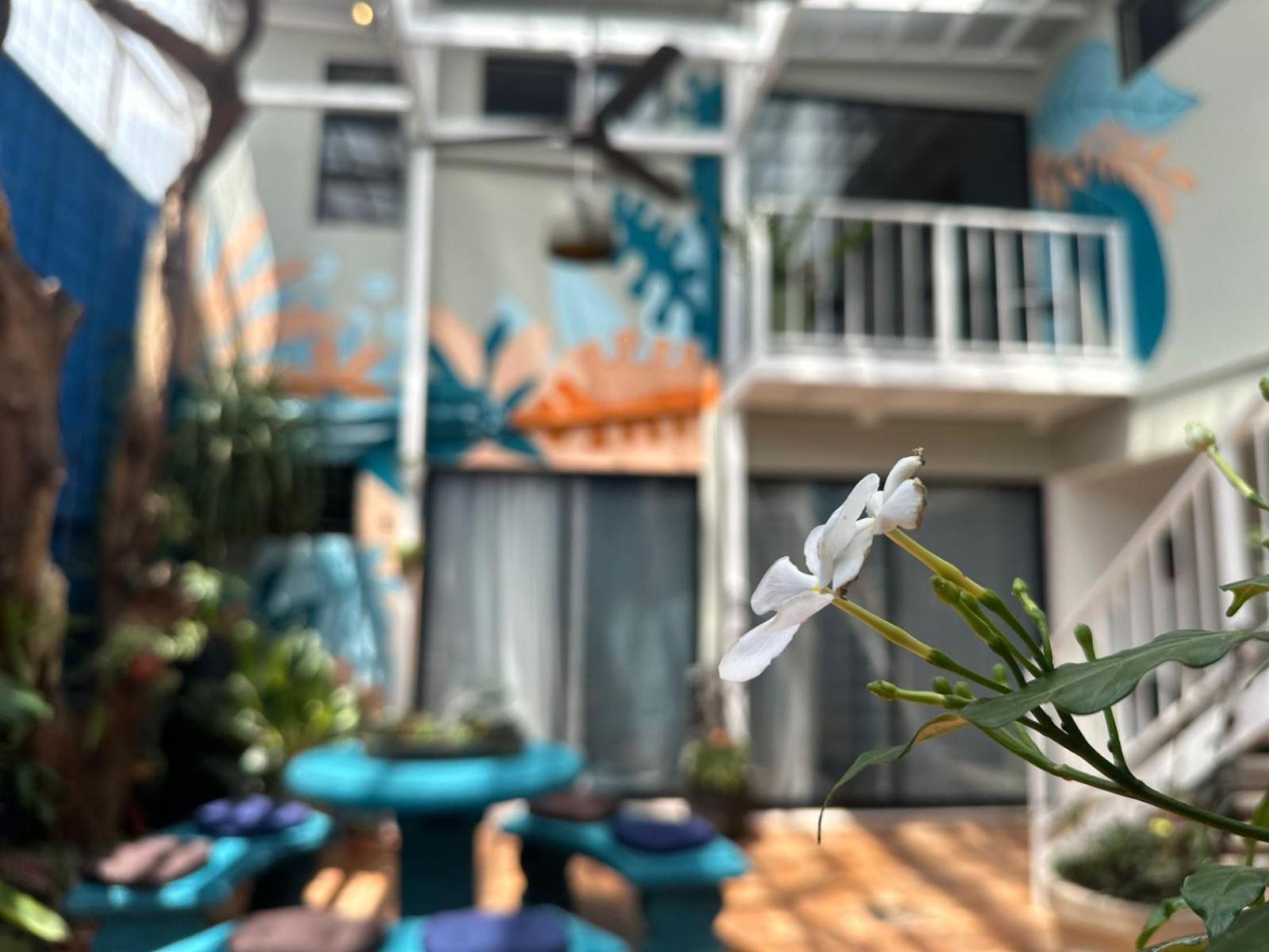 Jungla Urbana, Bnb Pavas エクステリア 写真