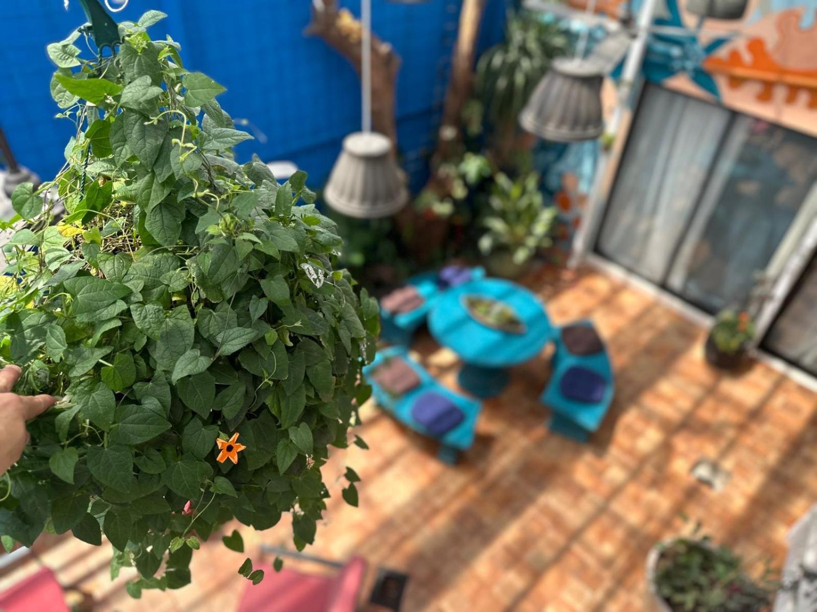 Jungla Urbana, Bnb Pavas エクステリア 写真