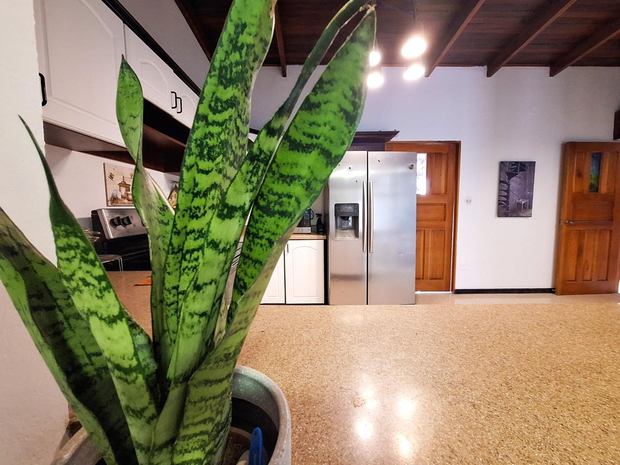Jungla Urbana, Bnb Pavas エクステリア 写真