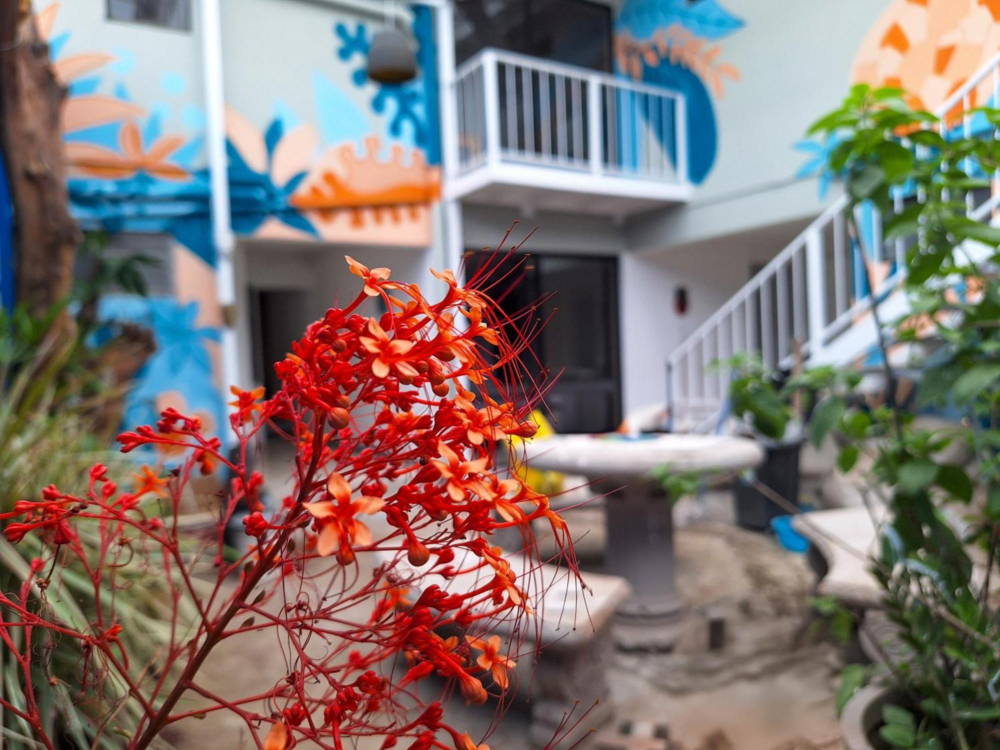 Jungla Urbana, Bnb Pavas エクステリア 写真