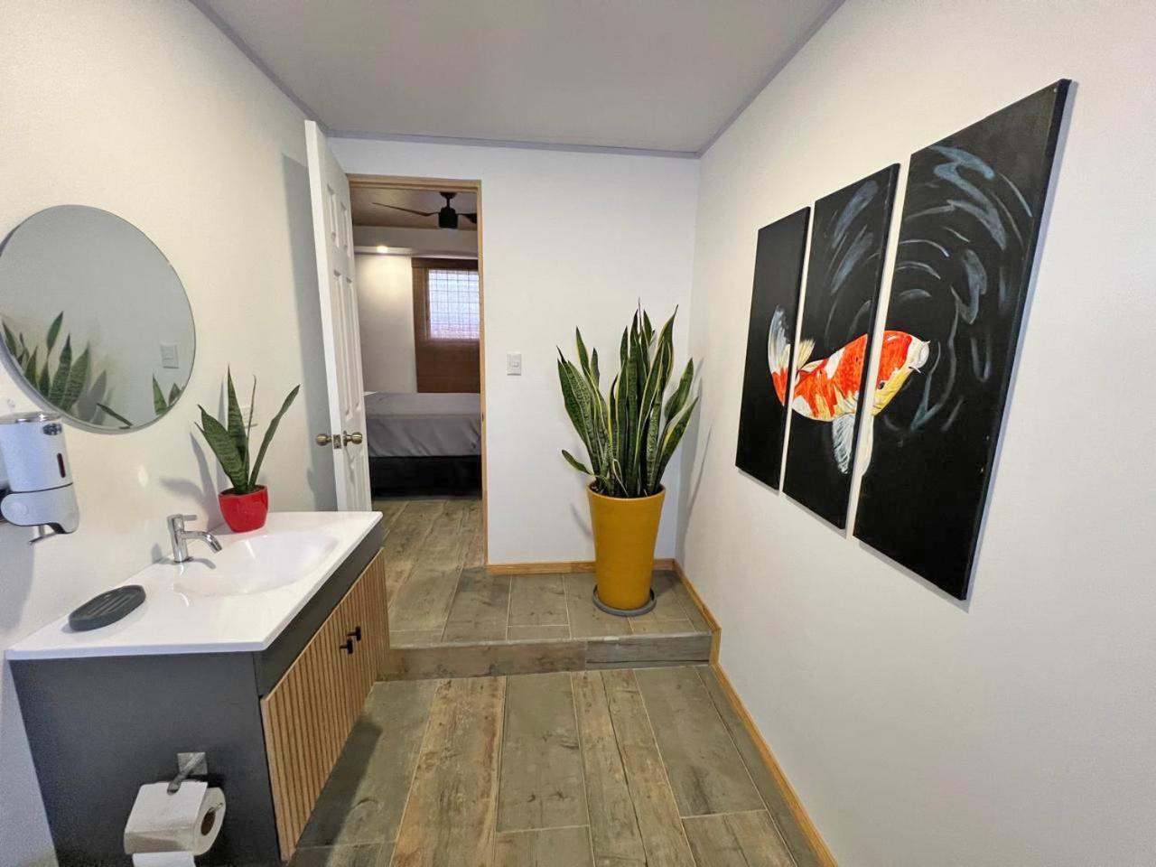 Jungla Urbana, Bnb Pavas エクステリア 写真